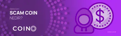 Scam Coin (Sahte Coin) Nedir?